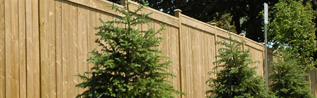 Fence image
